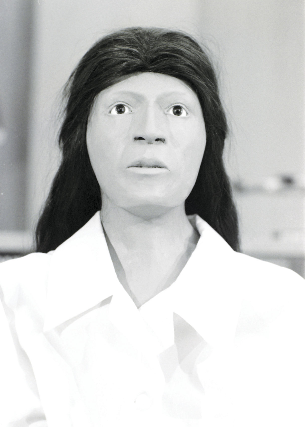 Facial reconstruction of remains found near Parker Dam